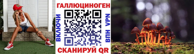 darknet телеграм  купить наркоту  Харабали  Галлюциногенные грибы прущие грибы 